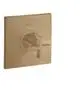 AXOR-HG-AXOR-Citterio-Thermostat-HighFlow-Unterputz-mit-Kreuzgriff-Brushed-Bronze-39716140 gallery number 1